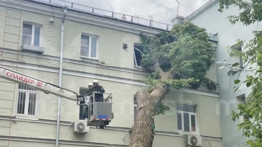 Фото - Огромное дерево упало на жилой дом в Москве