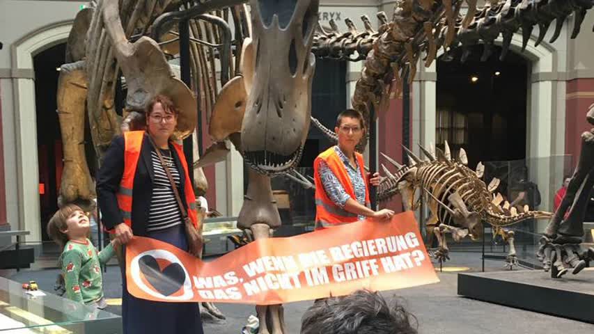 Фото - Экоактивистки приклеили себя к скелету динозавра в музее Берлина